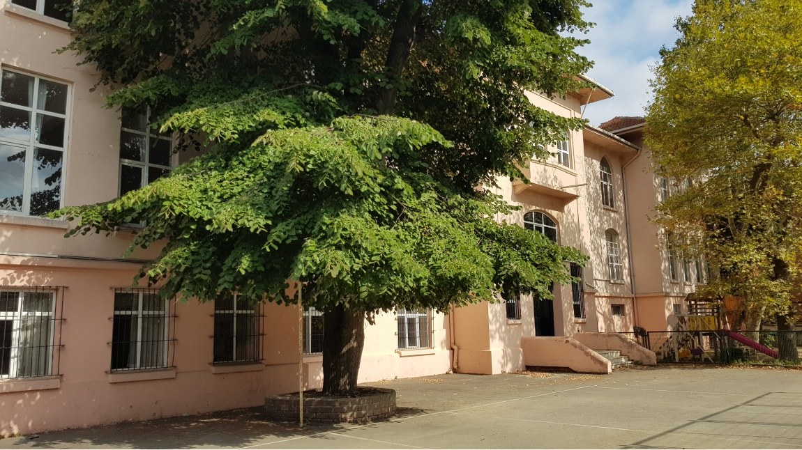 Burhan Felek Anadolu Lisesi