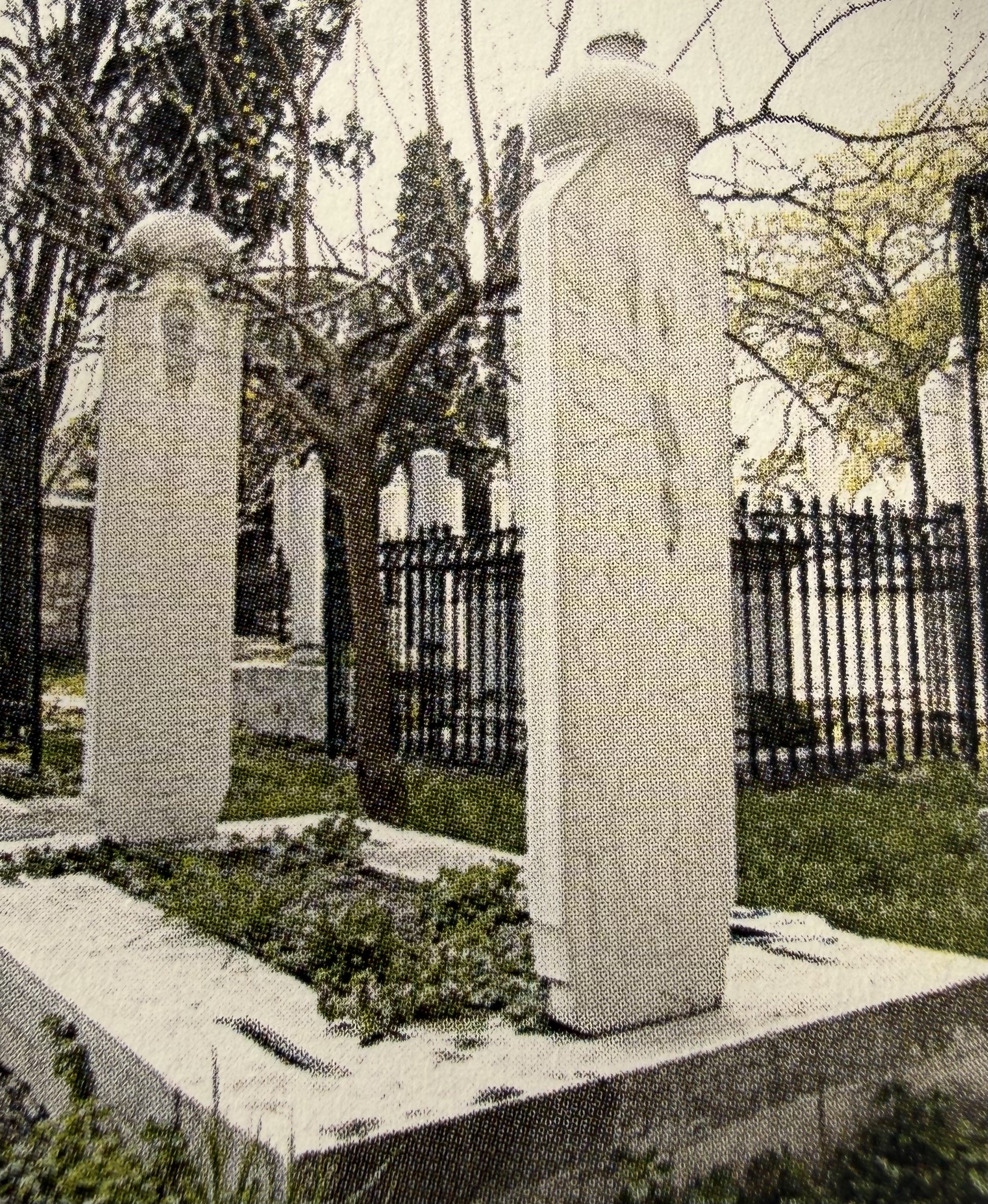 Abbas Şükri Efendi