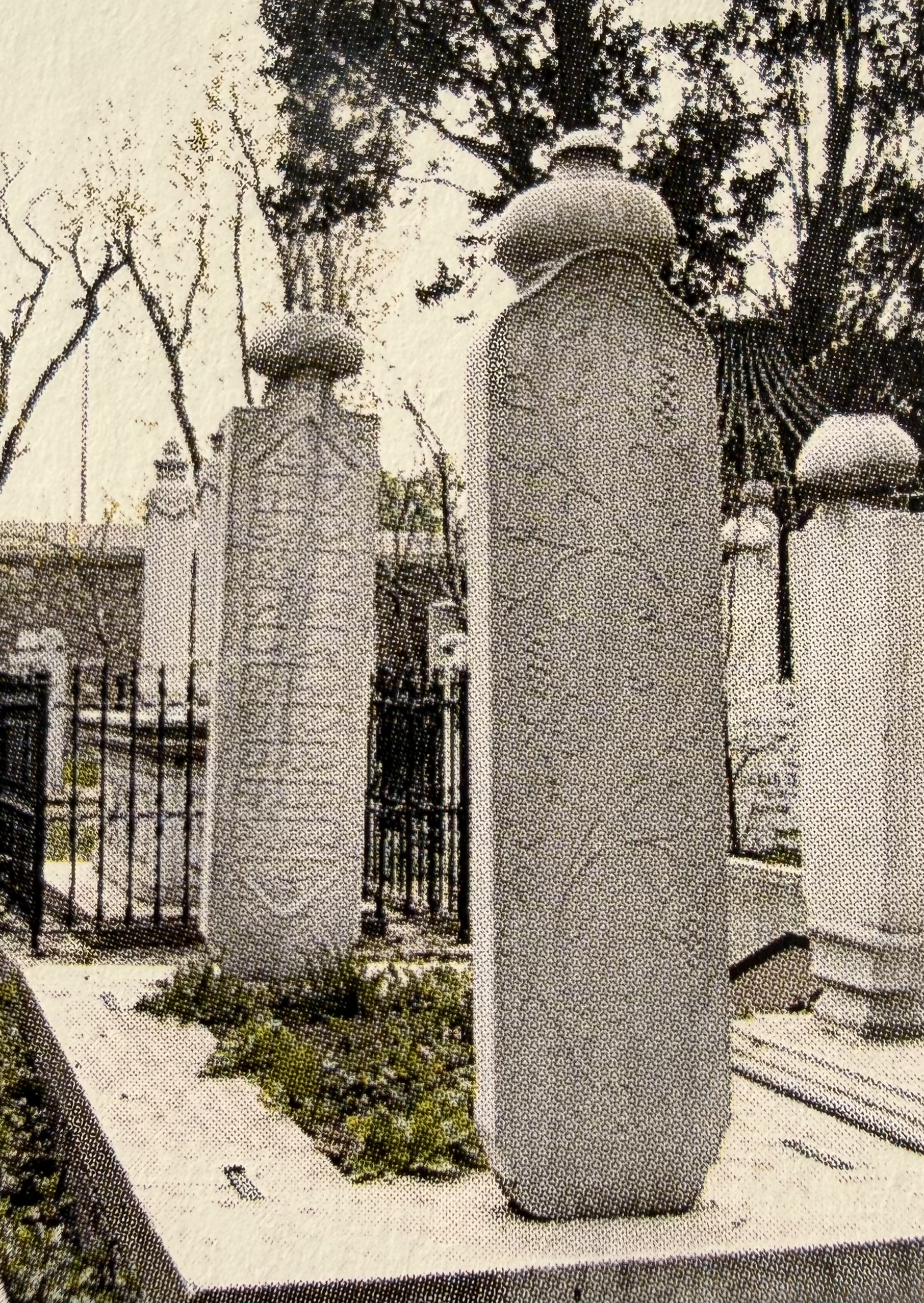 Mehmed Şevki Efendi