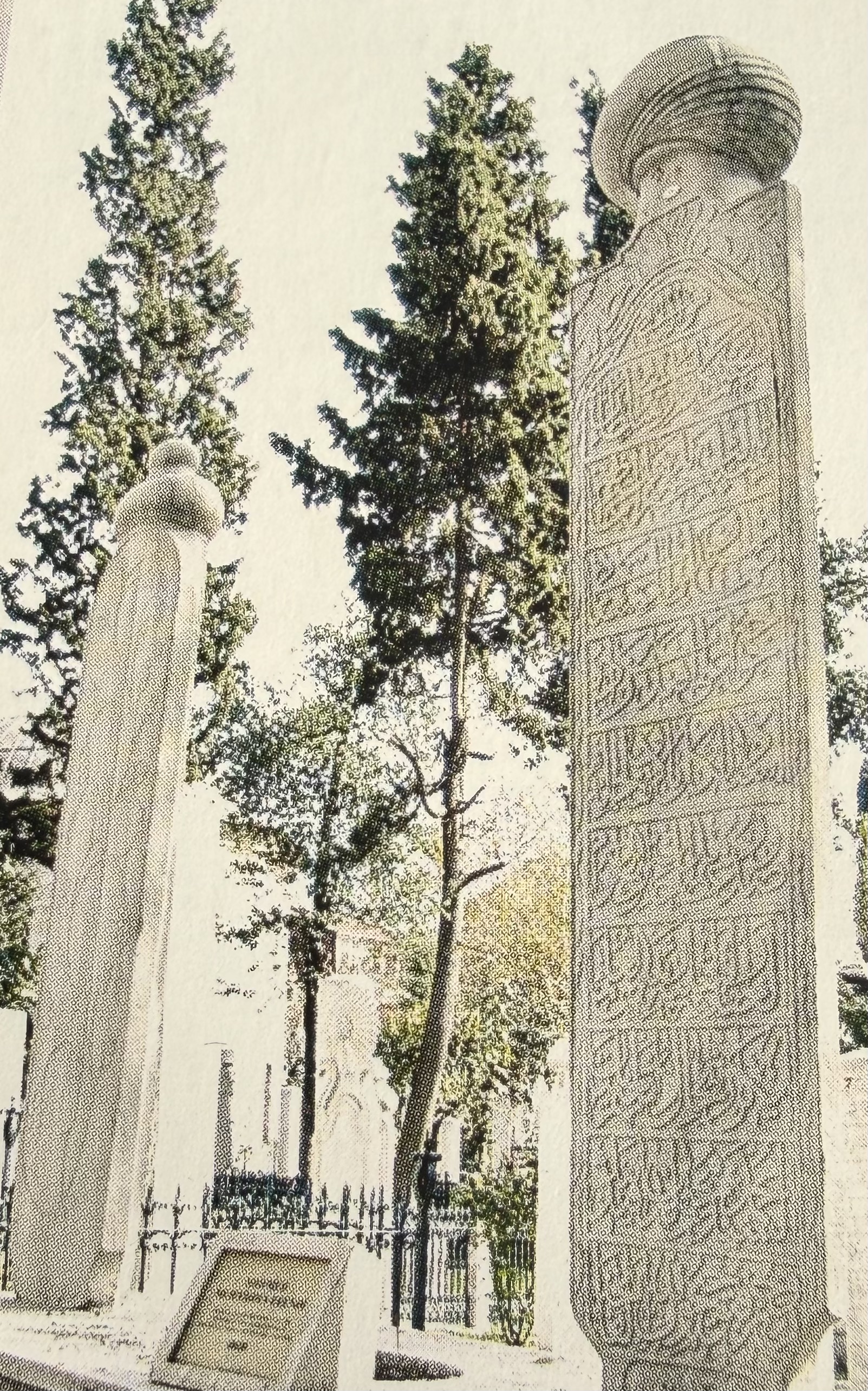 Seyyid Mehmed Muhyiddin Efendi