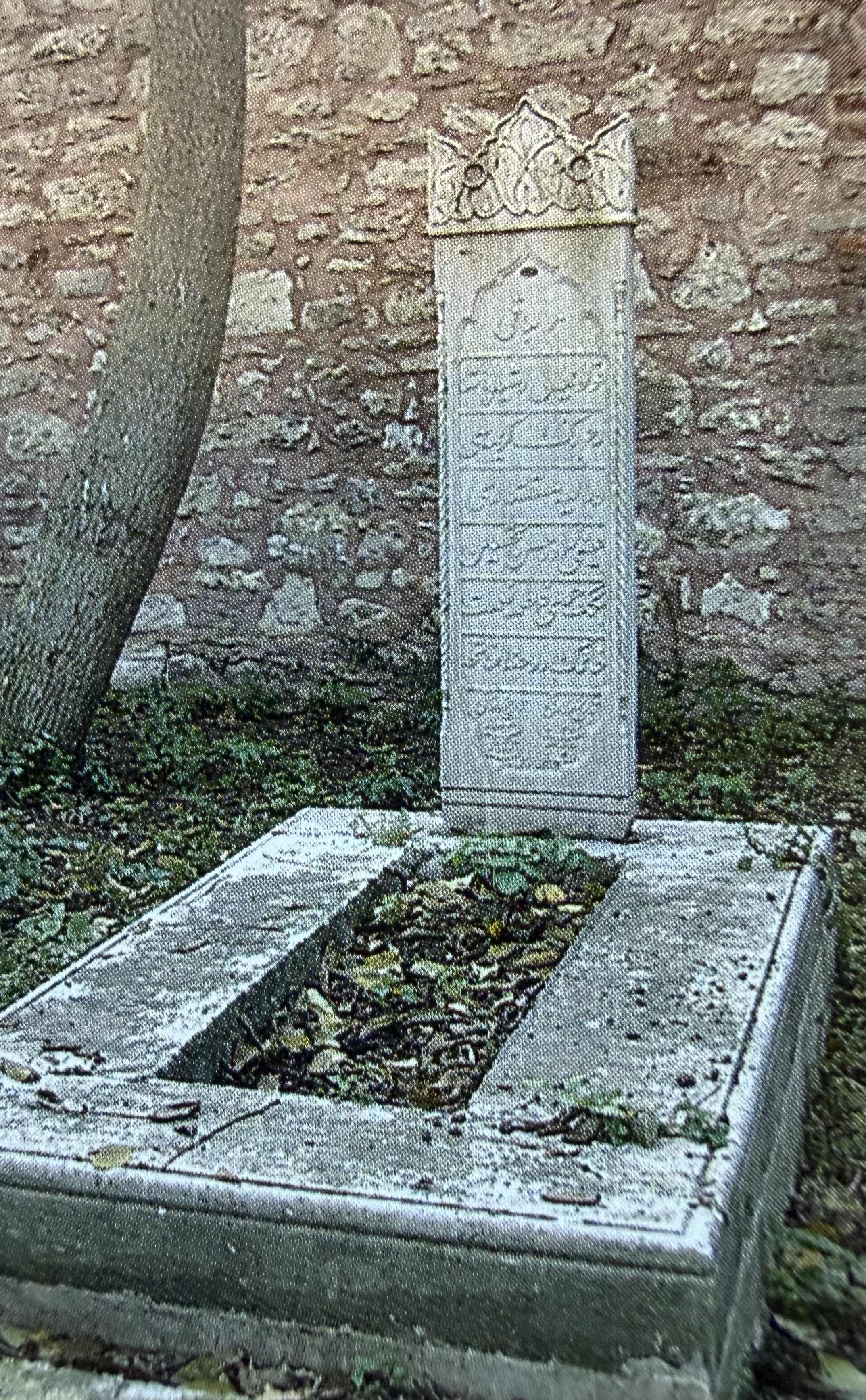 Fatma Nimet Hanım