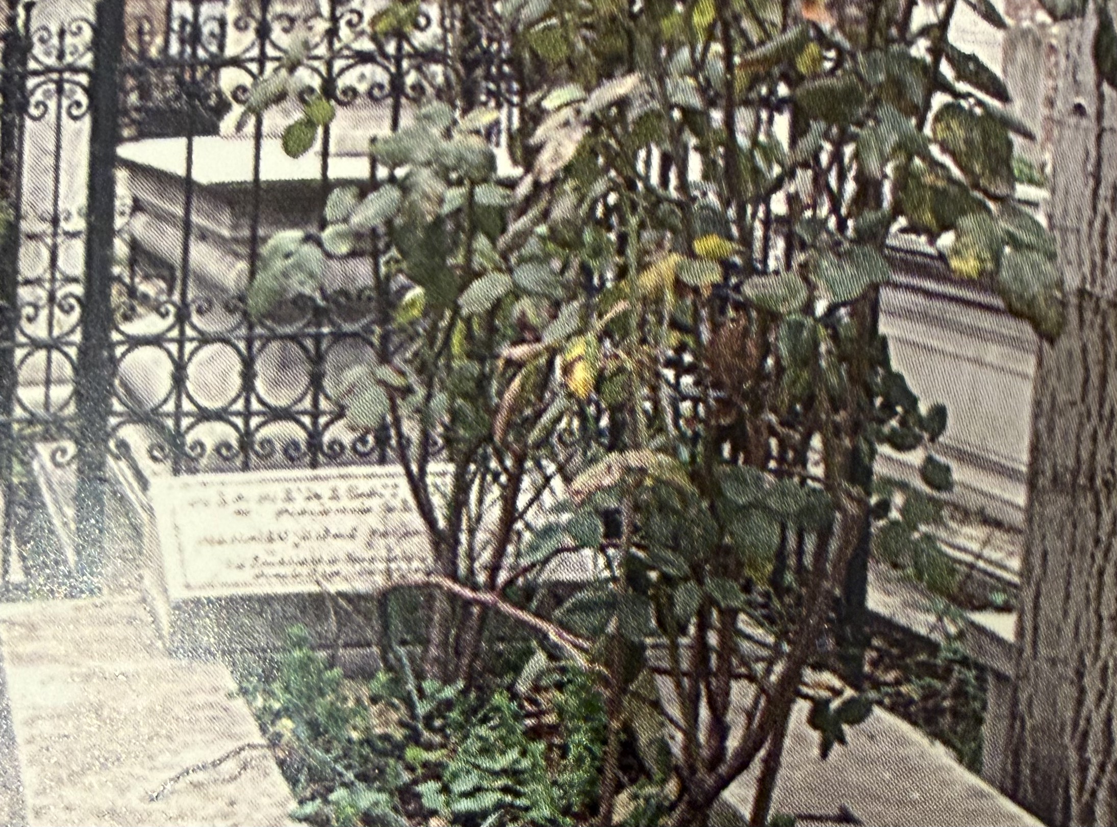 Mehmed Esat Atuner