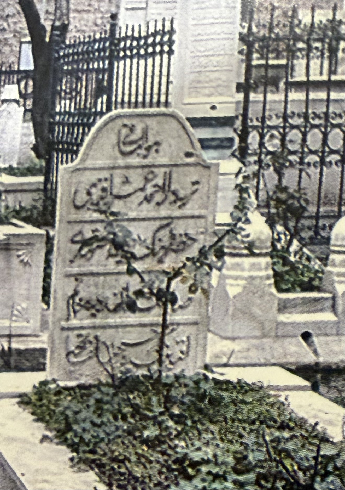 Rüveyde Hanım