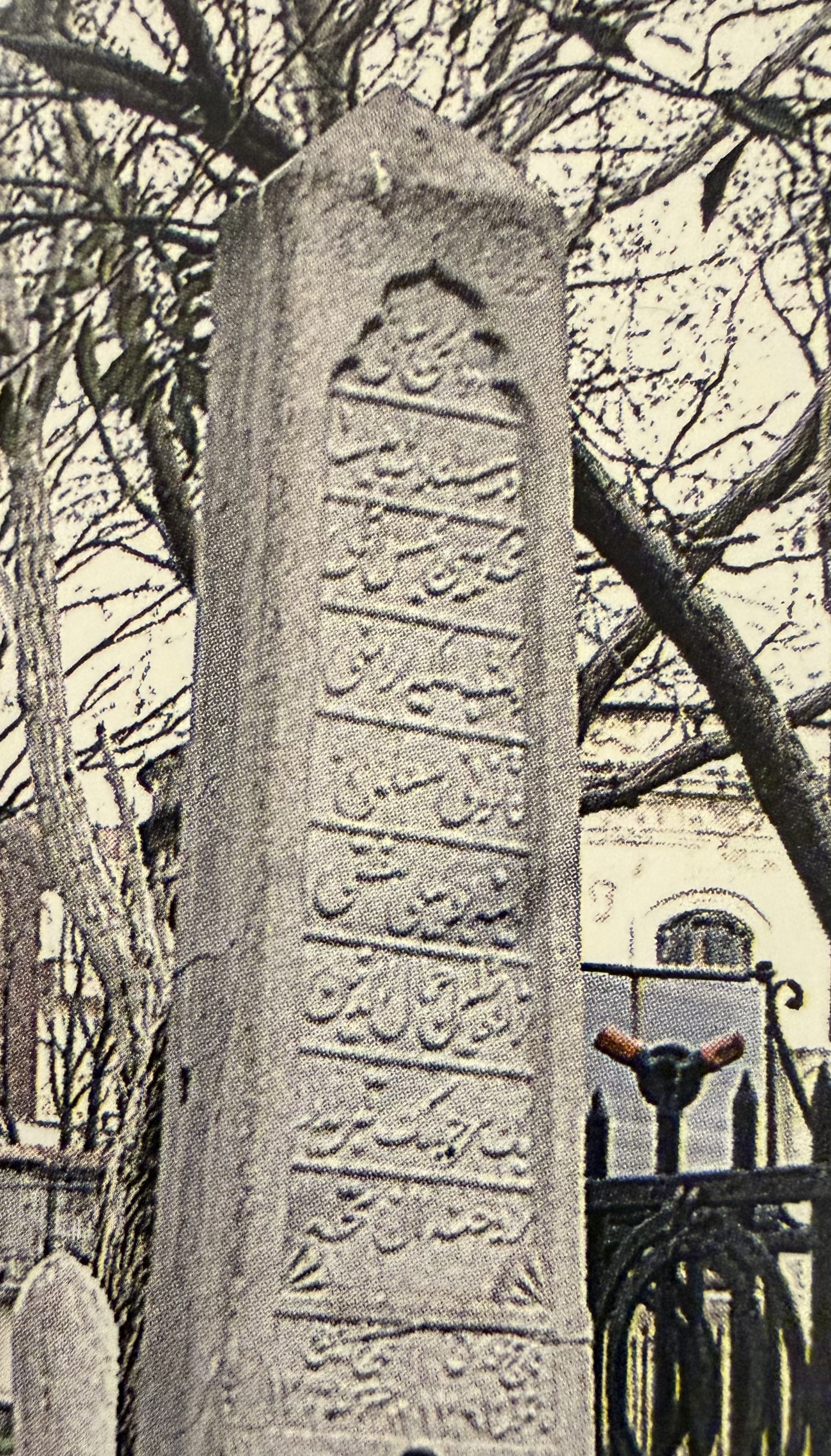 Halil Cemaleddin Bey