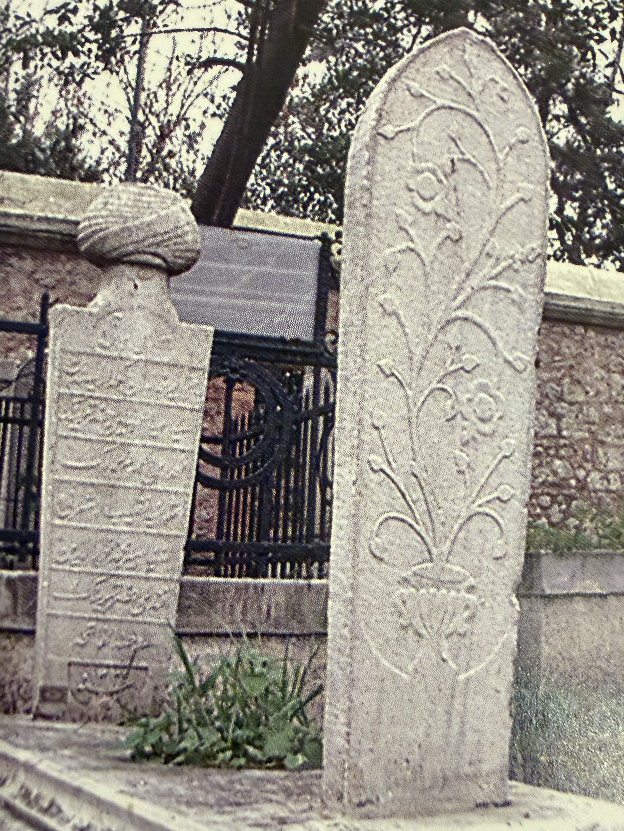 Mehmed Nureddin Efendi