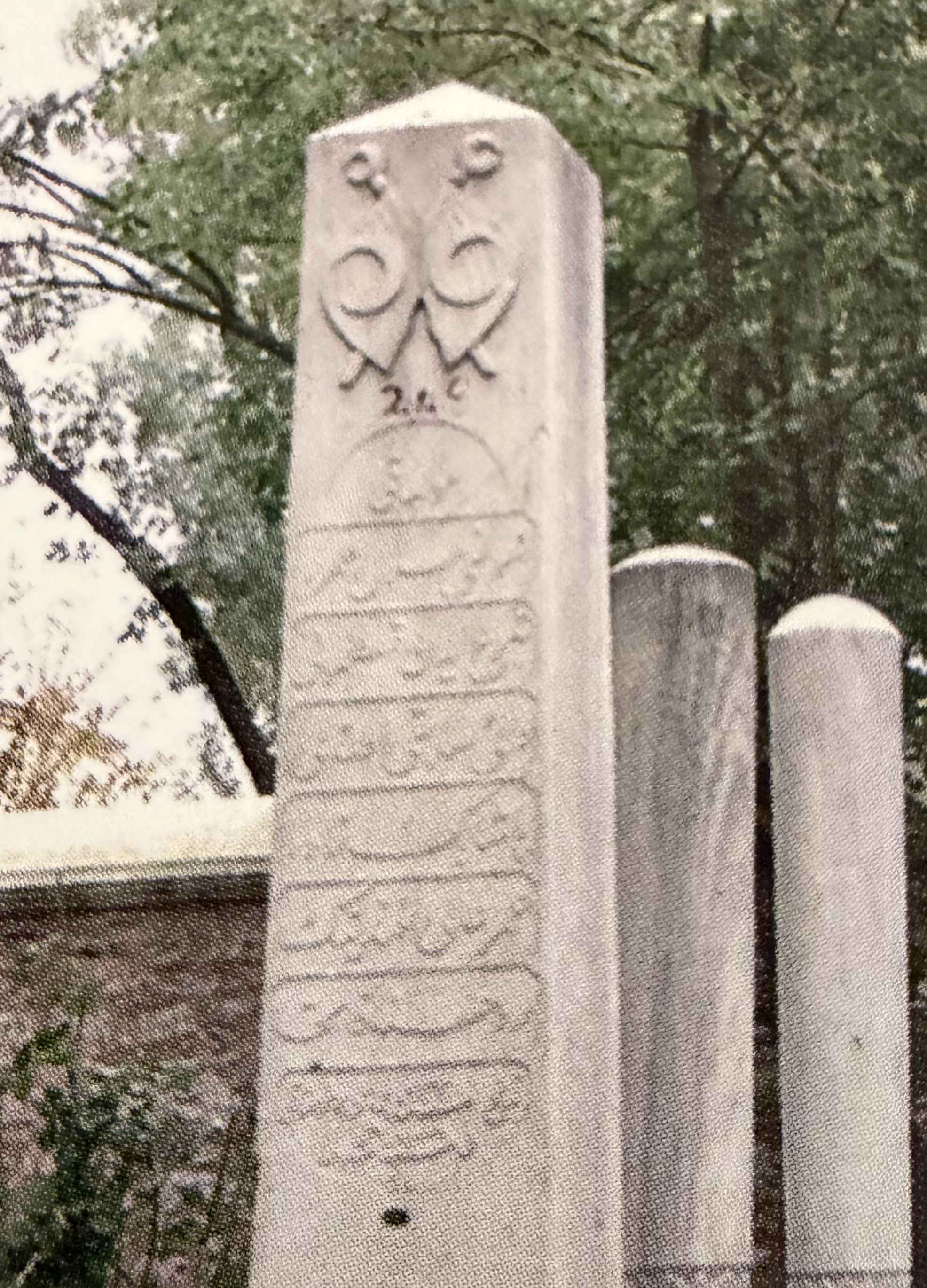 Ömer Ali Efendi