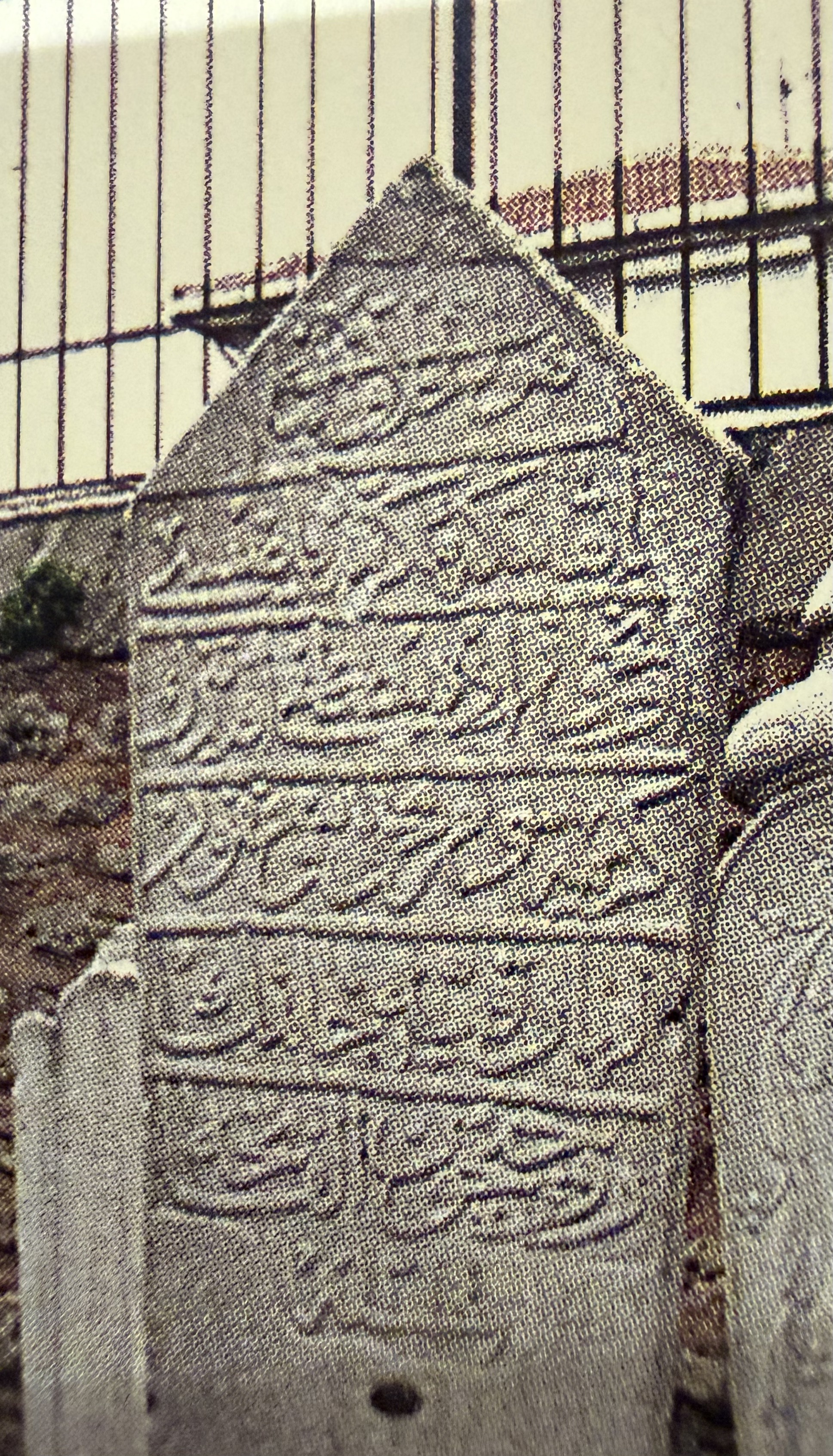 Rukiye Hanım