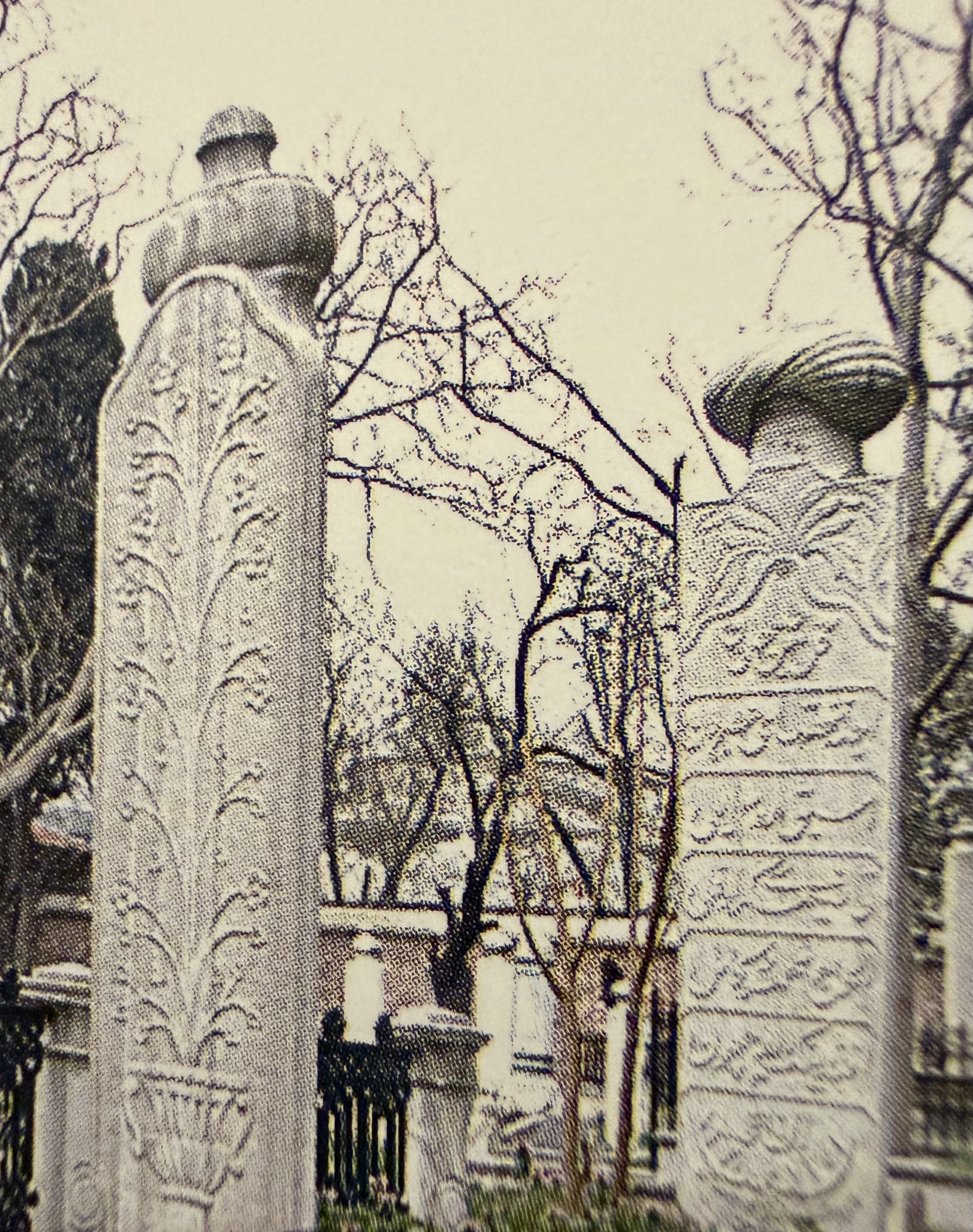Mahmud Kamil Efendi