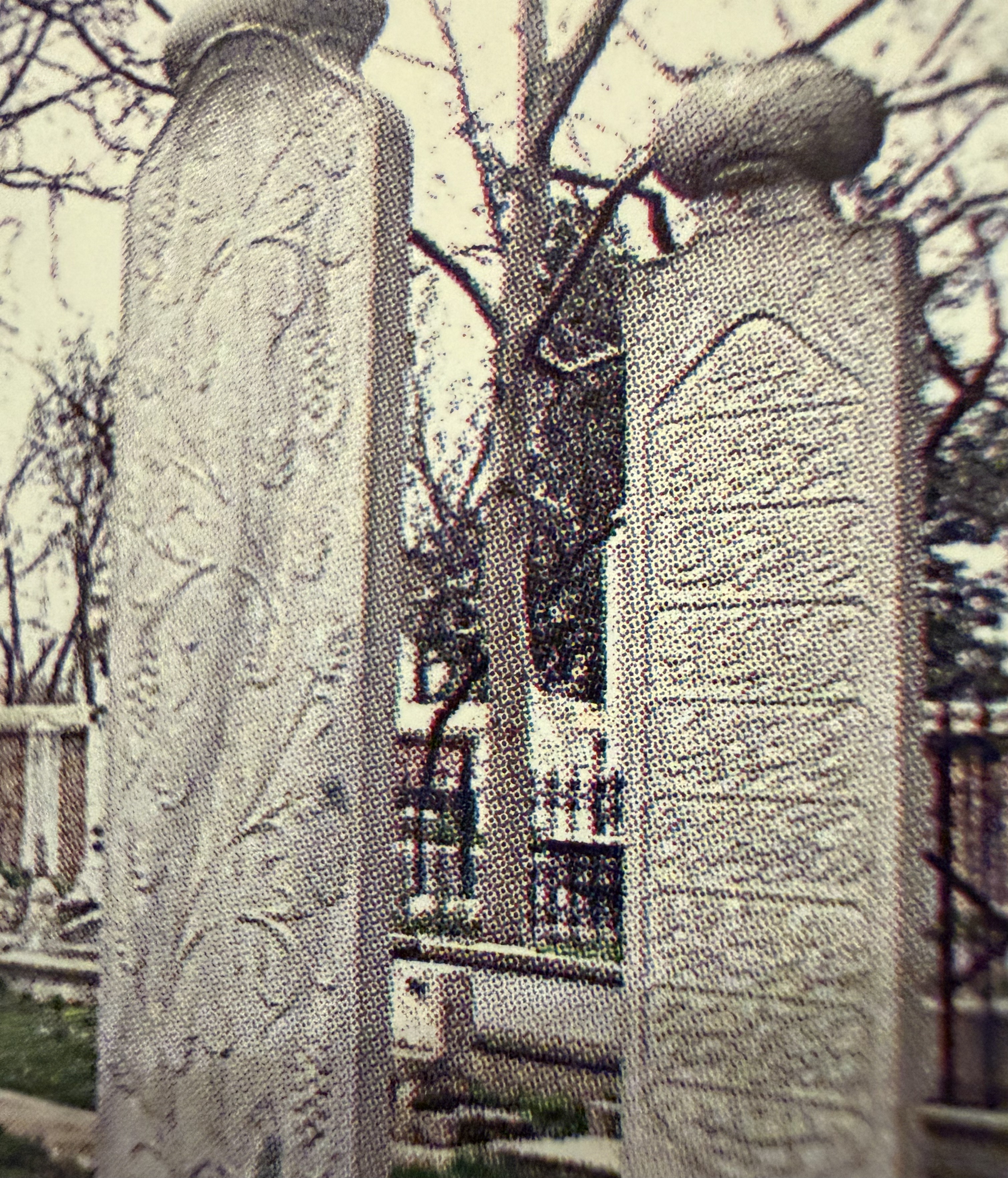 Ahmed Asım Efendi
