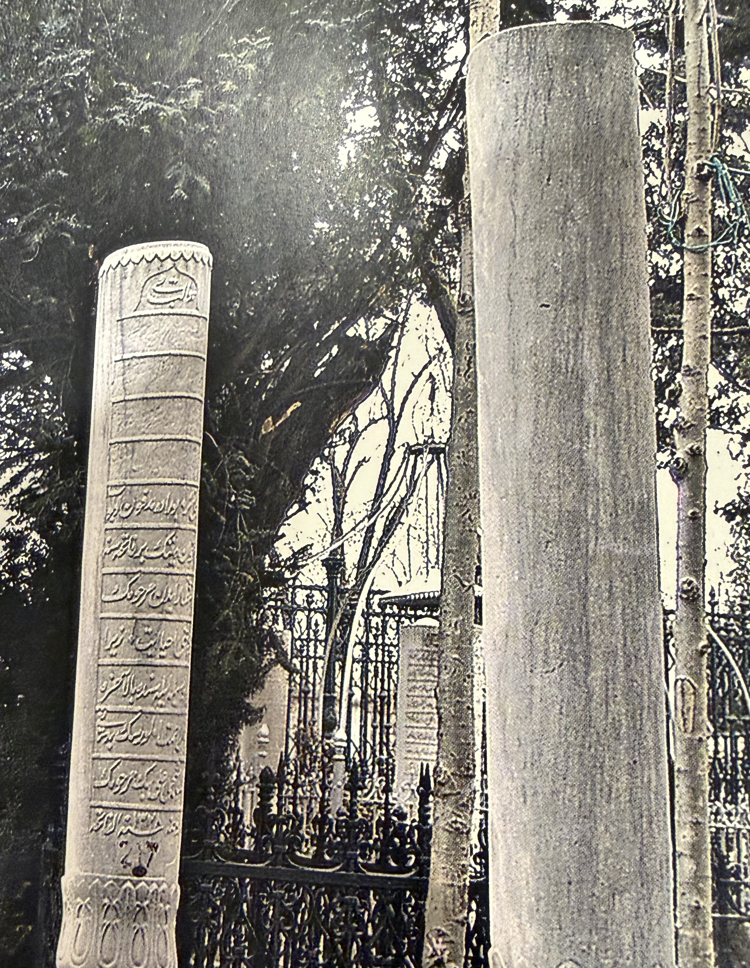 Ali Bey