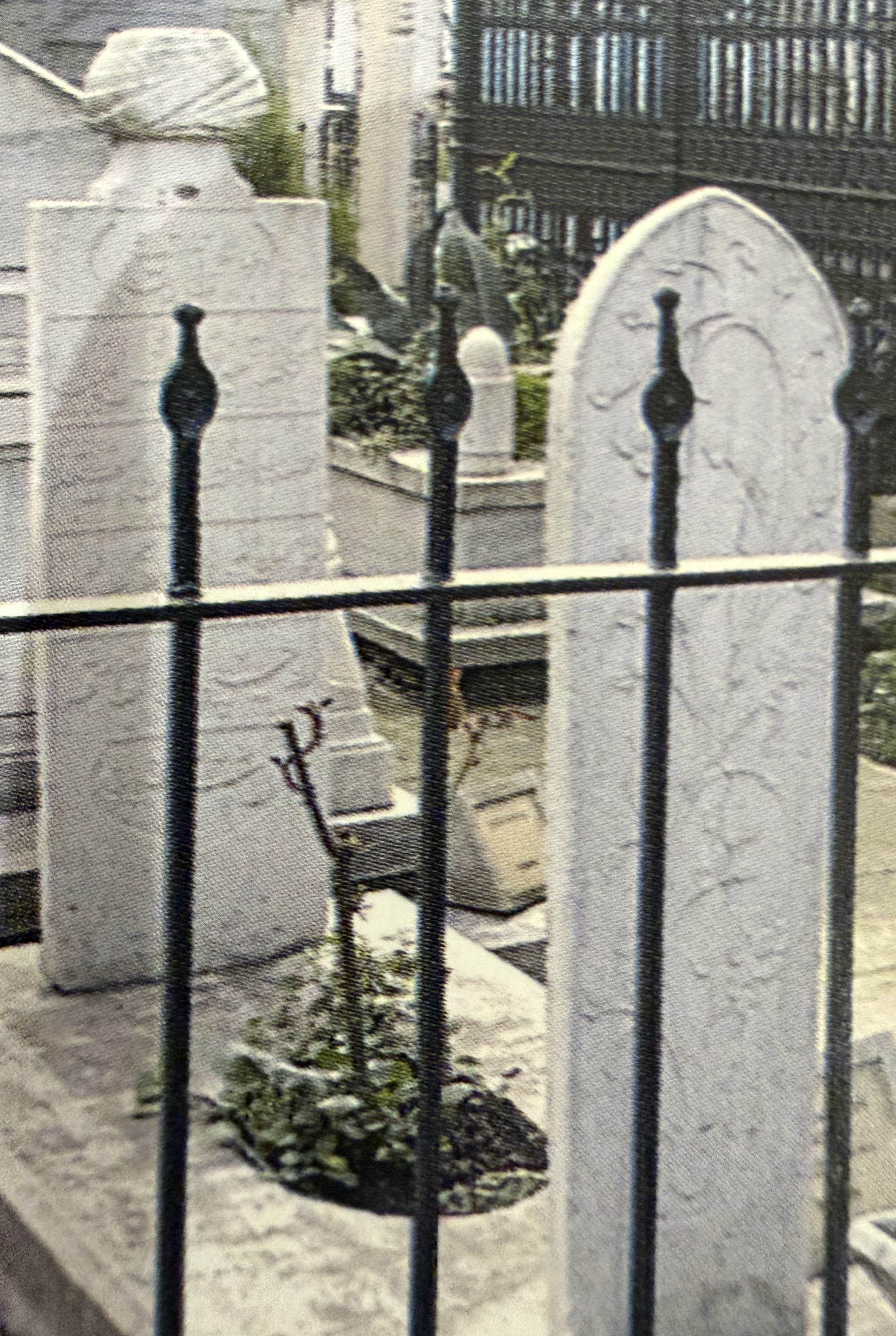 Mehmed Mecdi Efendi