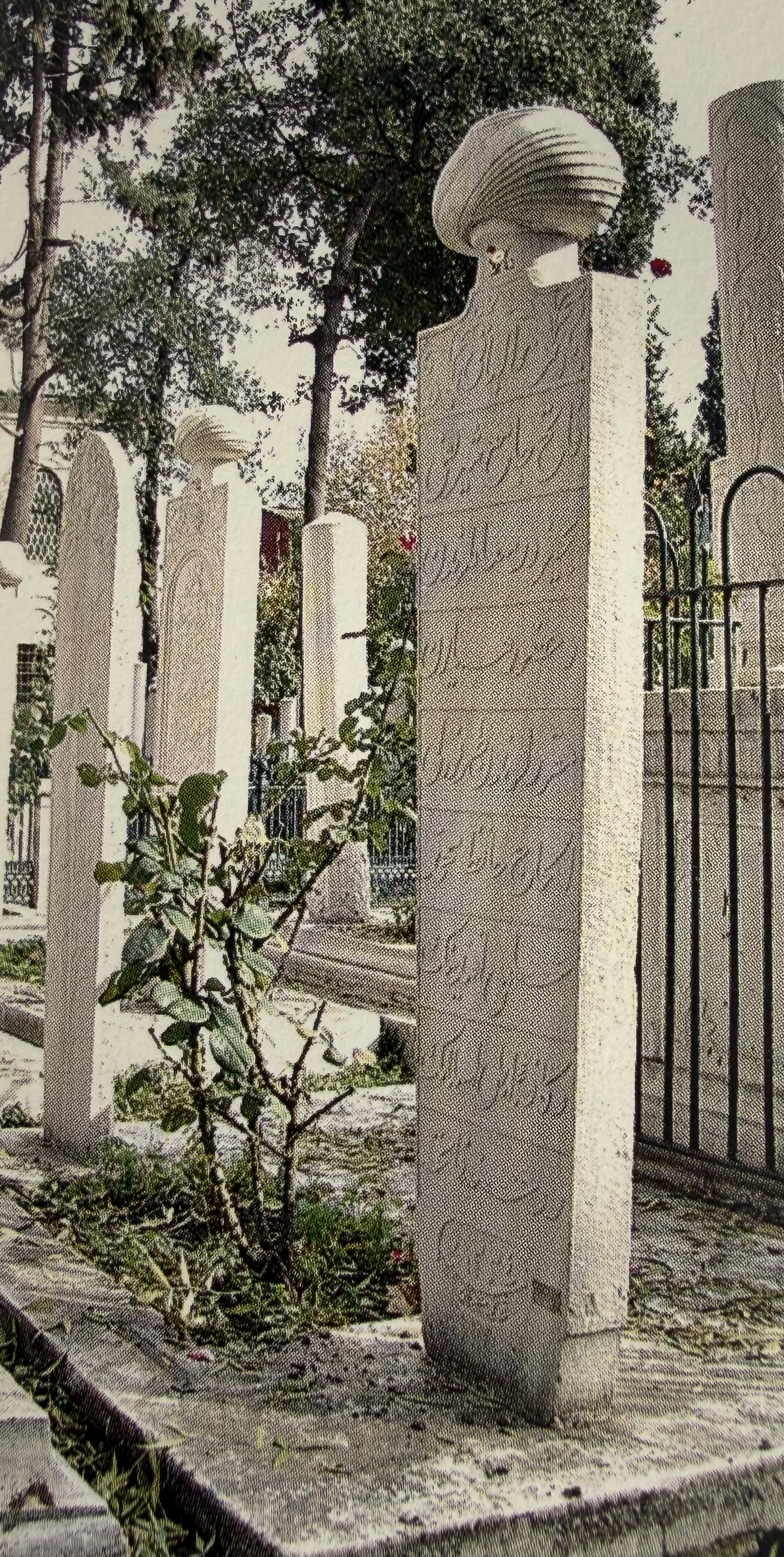 Mehmed Hilmi Efendi