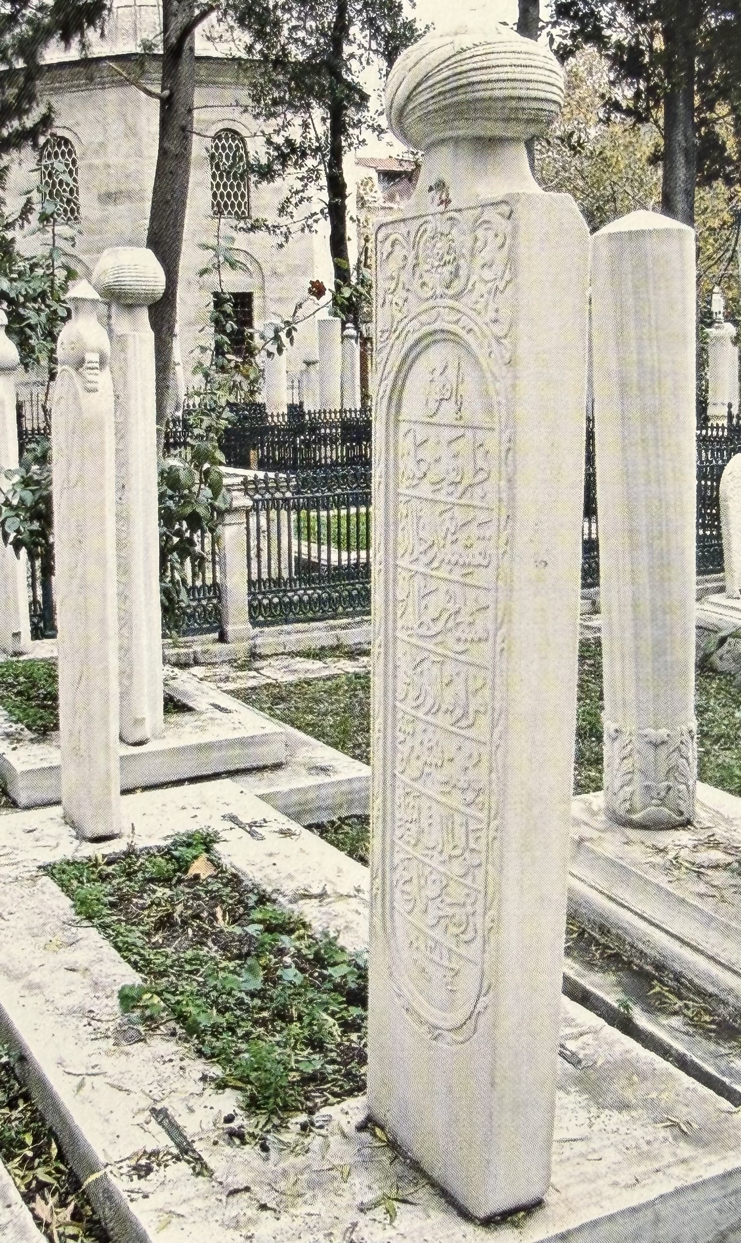 Şeyh Ali Talib Efendi