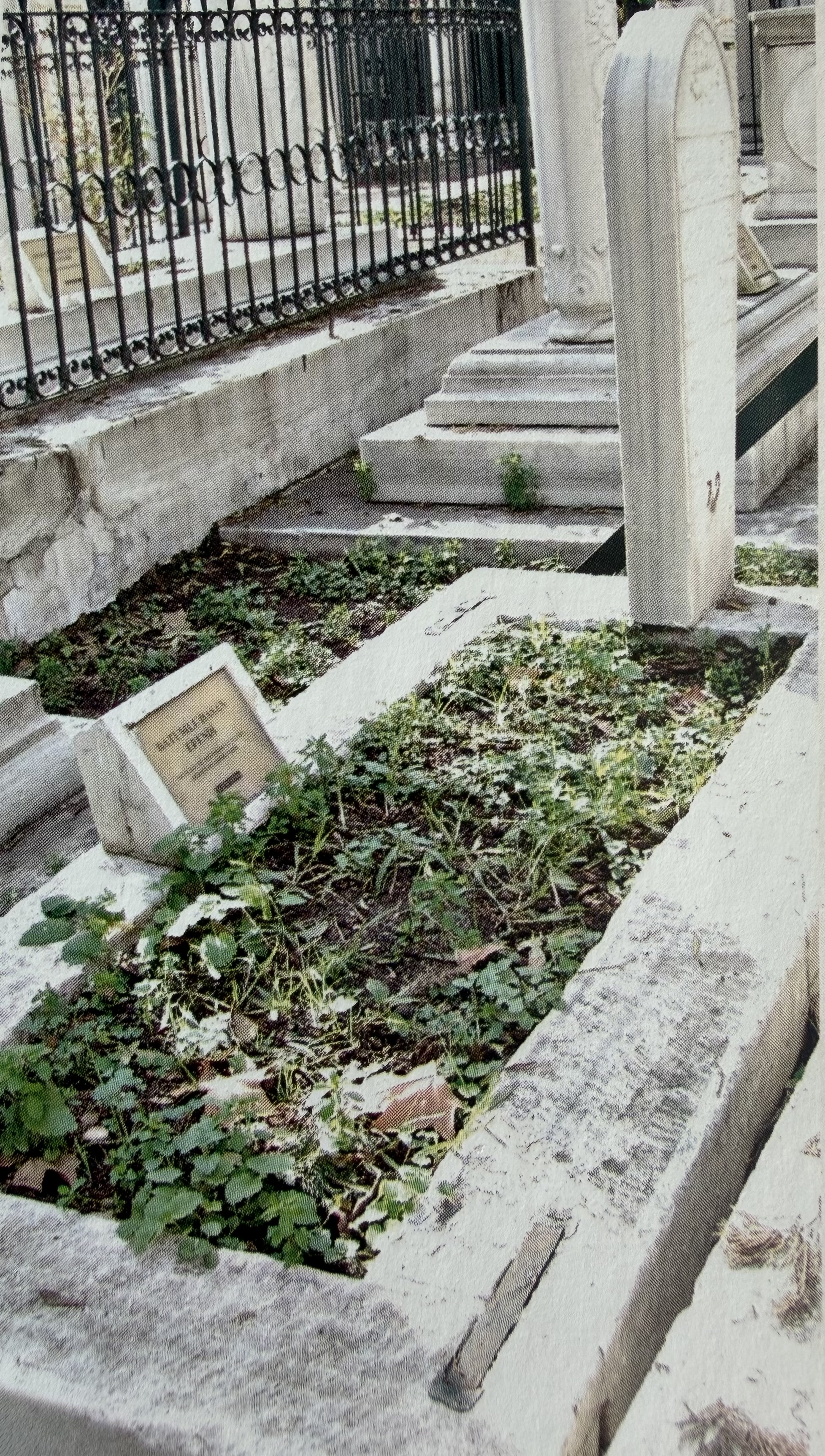 Hacı Hasan Efendi