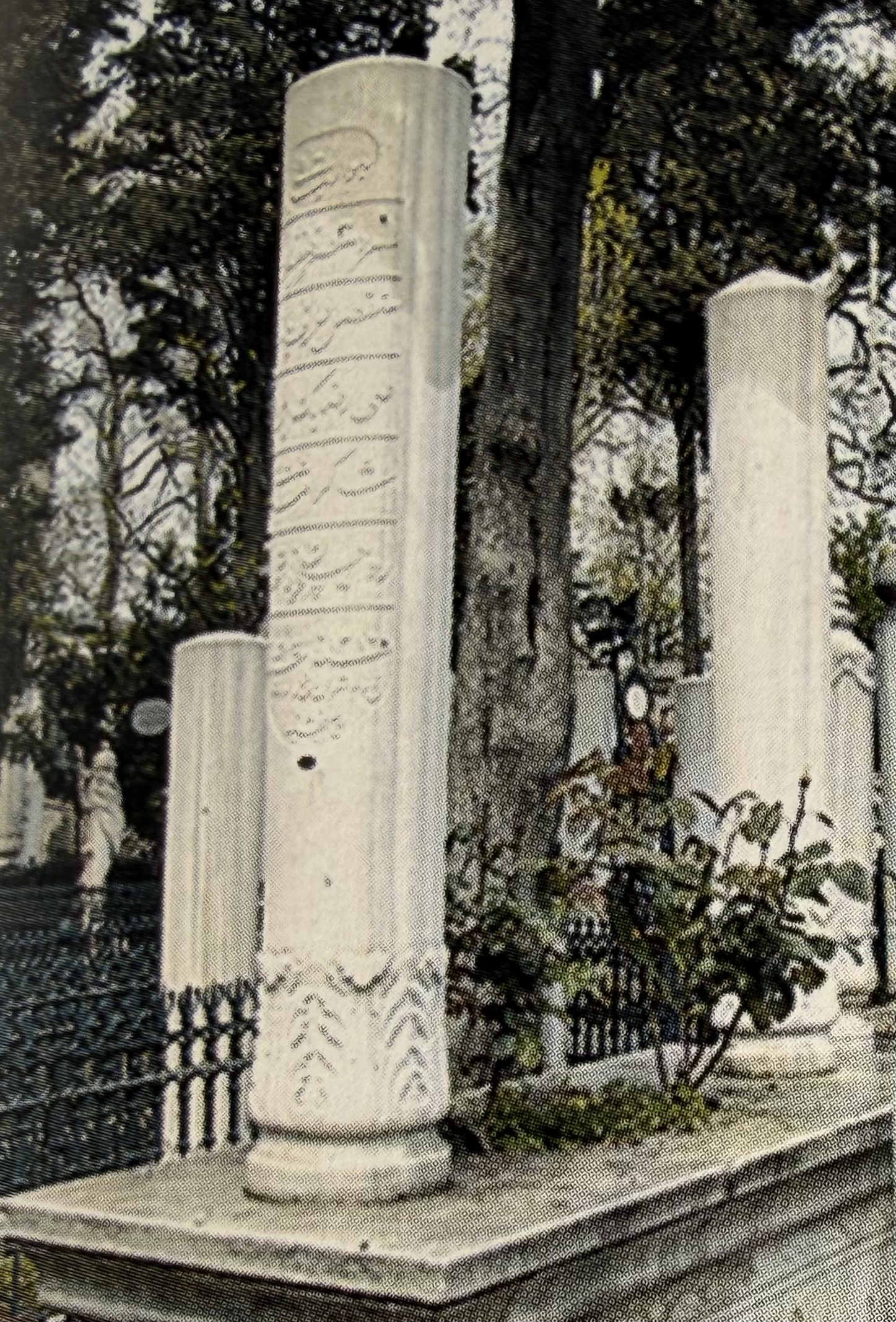 Ali Rıza Bey