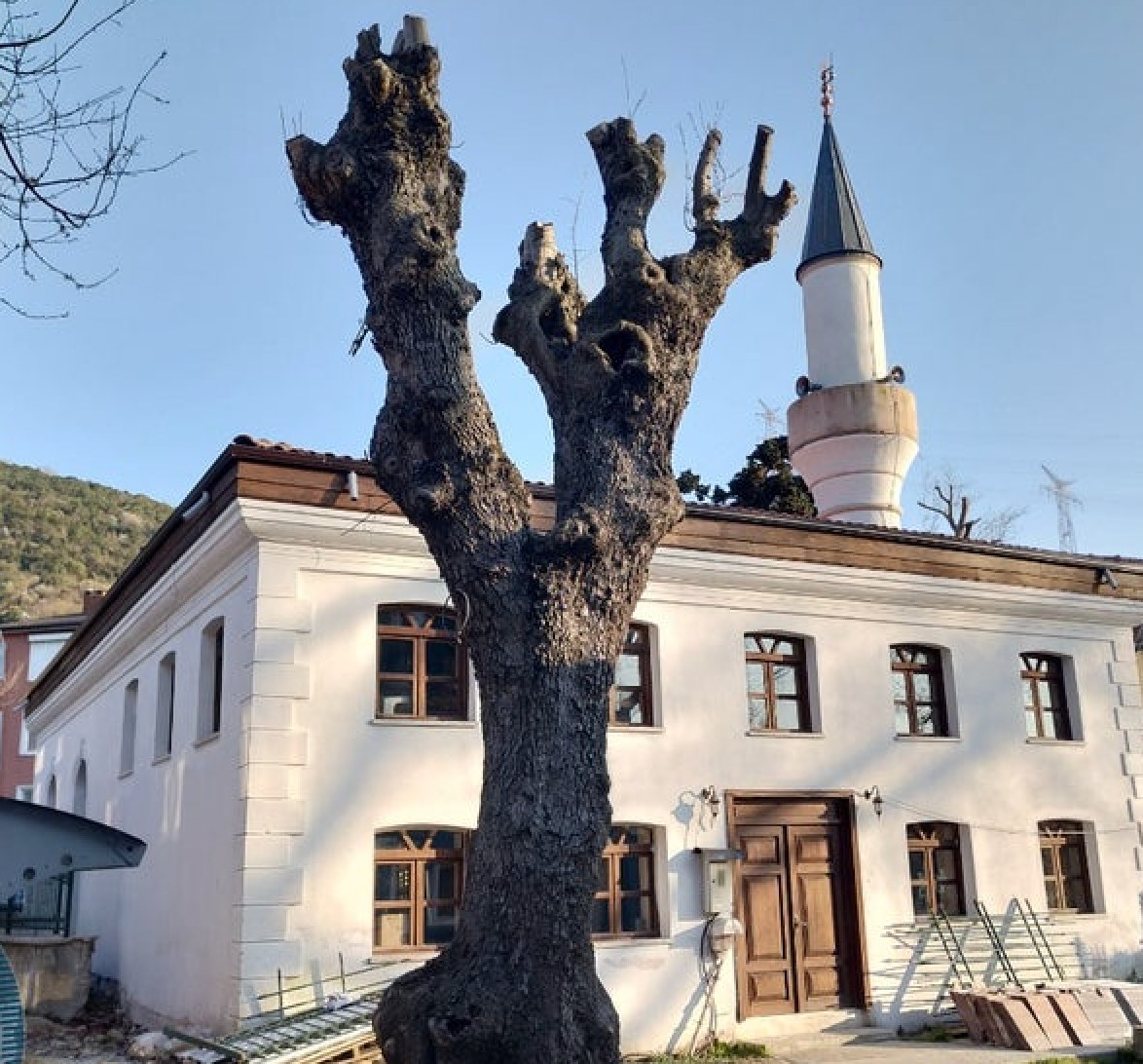 Midillili Ali Reis Camii