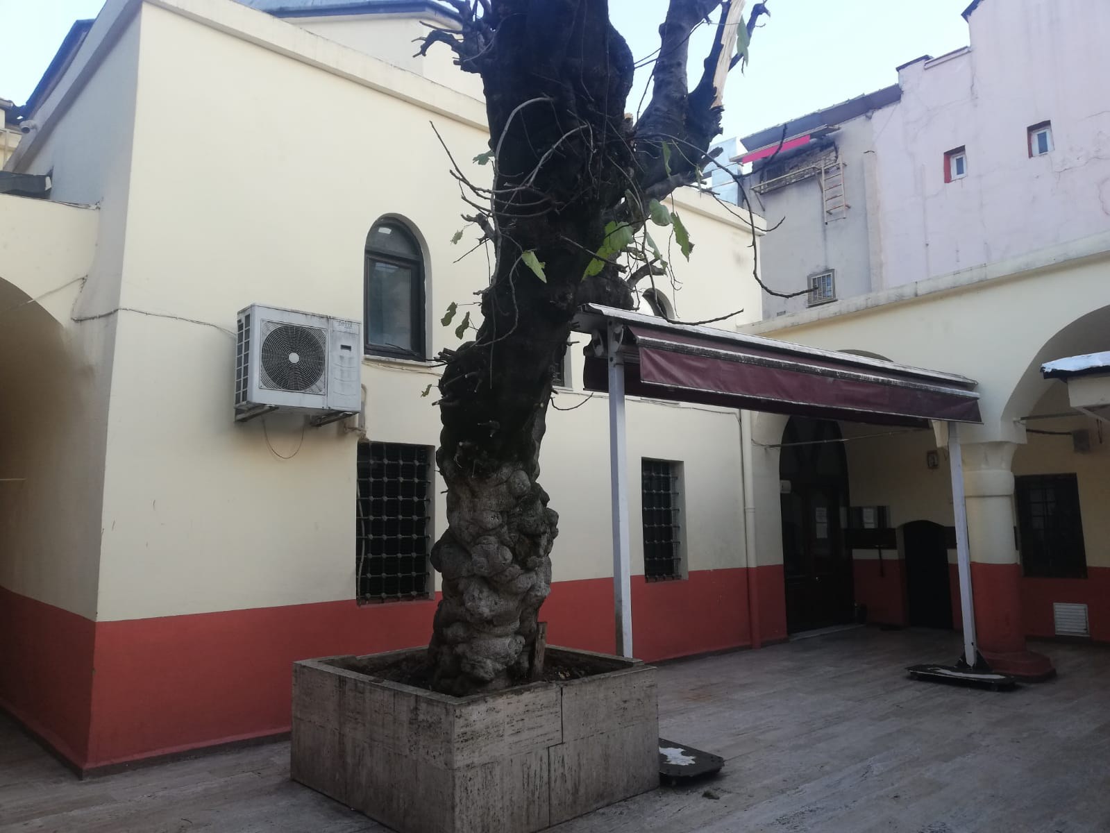 Seyyit Eftalzade Medresesi